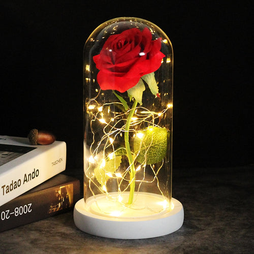 Middle Beauty And The Beast Rose, Rose In Glass Dome, Forever Pink, Red Rose, Preserved Rose, Belle Rose Special, Romantic Gift