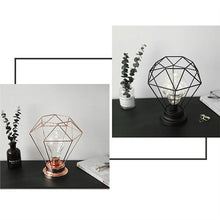 Load image into Gallery viewer, Edison Style Metal Terrarium Lamp Warm White LEDs Wire Lights Battery Operated Night Lamp