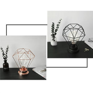 Edison Style Metal Terrarium Lamp Warm White LEDs Wire Lights Battery Operated Night Lamp