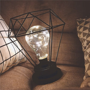 Edison Style Metal Terrarium Lamp Warm White LEDs Wire Lights Battery Operated Night Lamp