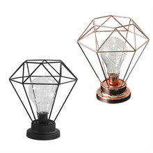 Load image into Gallery viewer, Edison Style Metal Terrarium Lamp Warm White LEDs Wire Lights Battery Operated Night Lamp